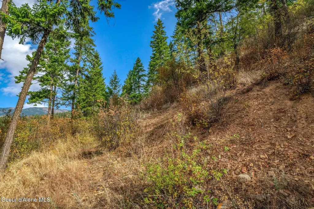 Nka Silver Creek Road Clark Fork ID 83811