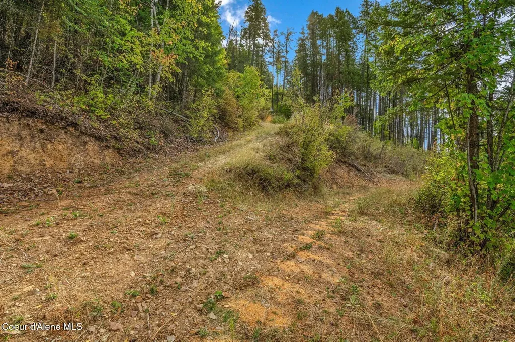 Nka Silver Creek Road Clark Fork ID 83811