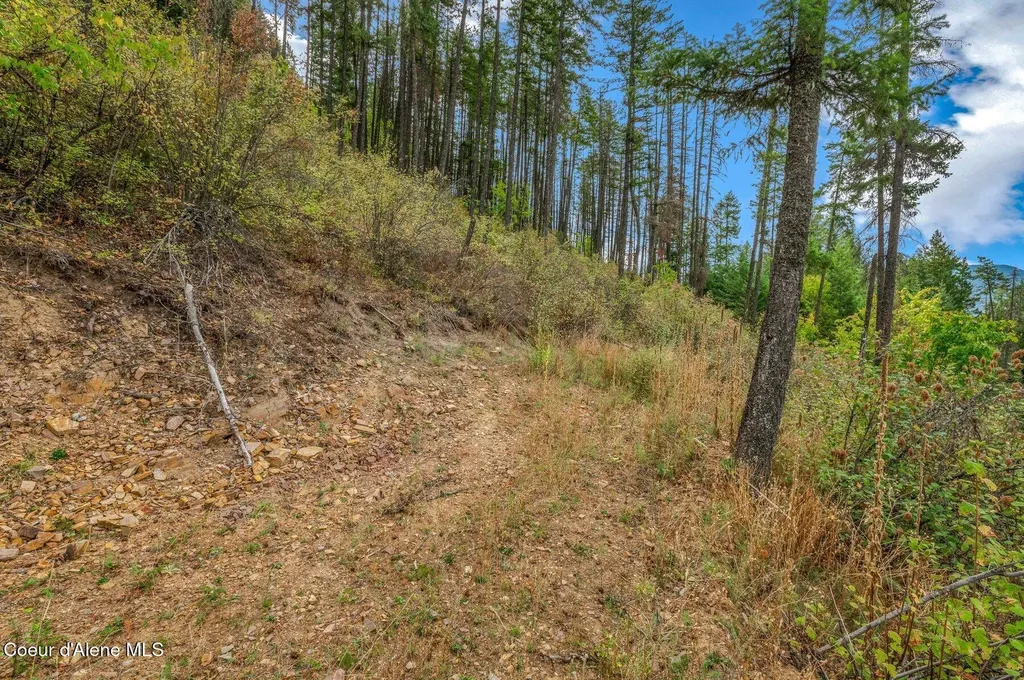 Nka Silver Creek Road Clark Fork ID 83811