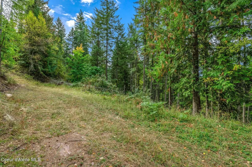 Nka Silver Creek Road Clark Fork ID 83811
