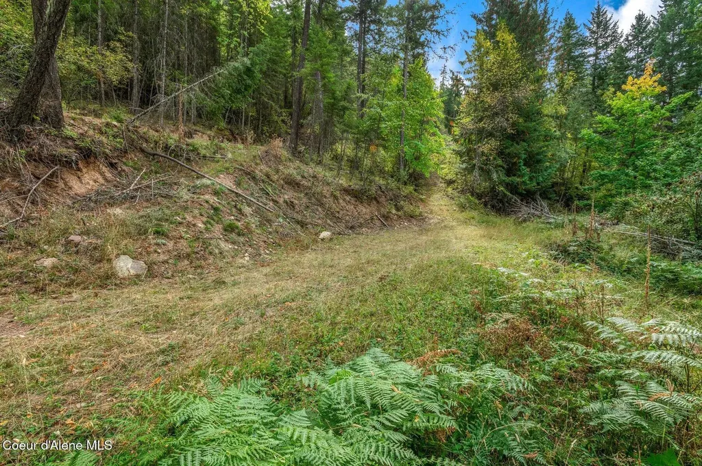 Nka Silver Creek Road Clark Fork ID 83811