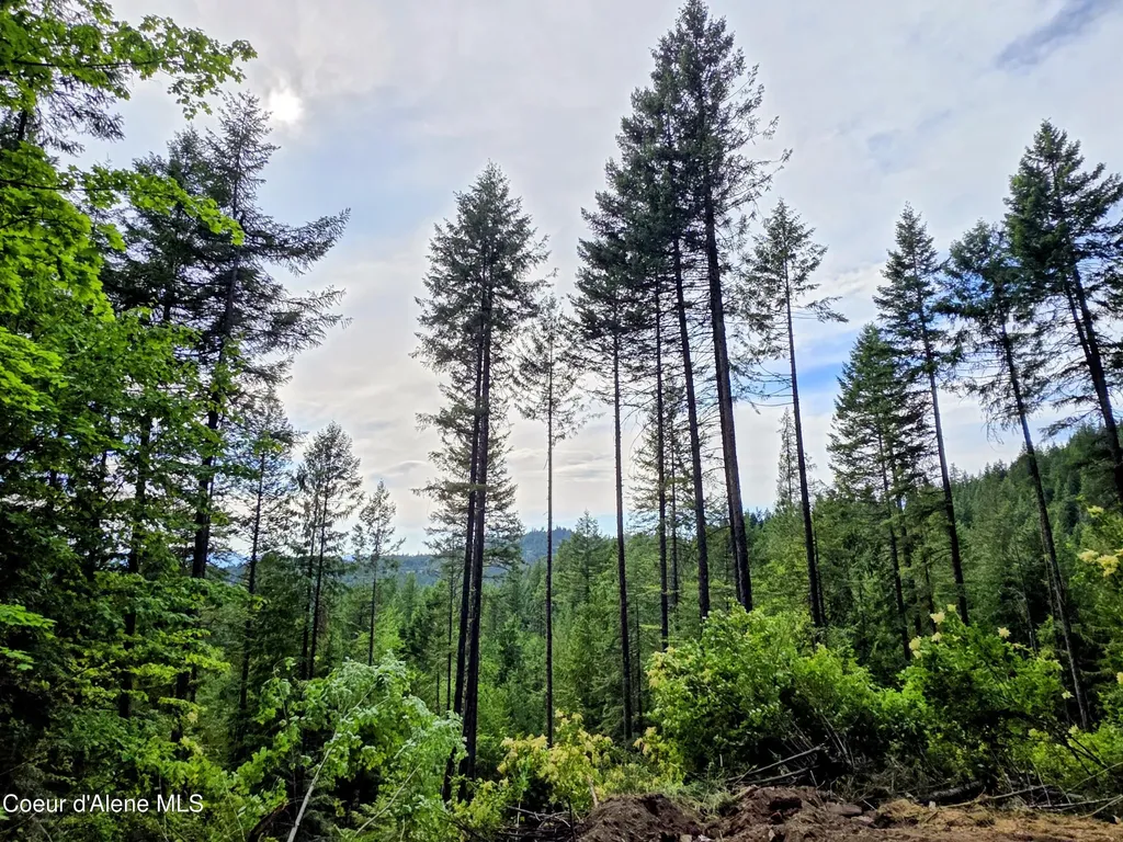 Nka Silver Creek Road Clark Fork ID 83811