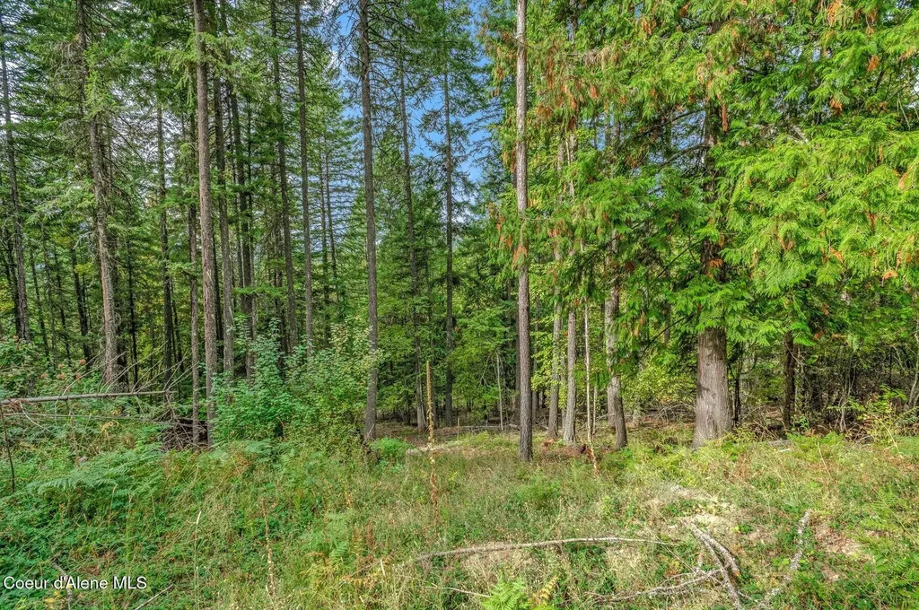 Nka Silver Creek Road Clark Fork ID 83811
