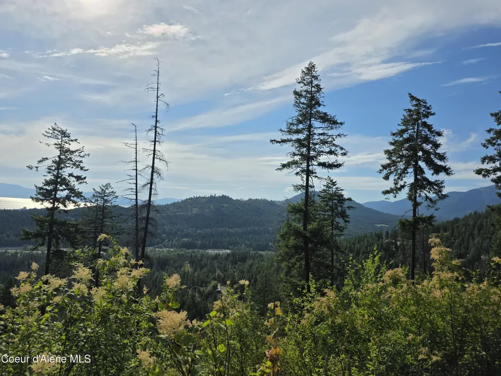 Nka Silver Creek Road Clark Fork ID 83811