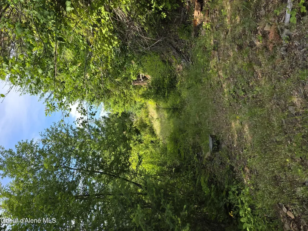Nka Silver Creek Road Clark Fork ID 83811