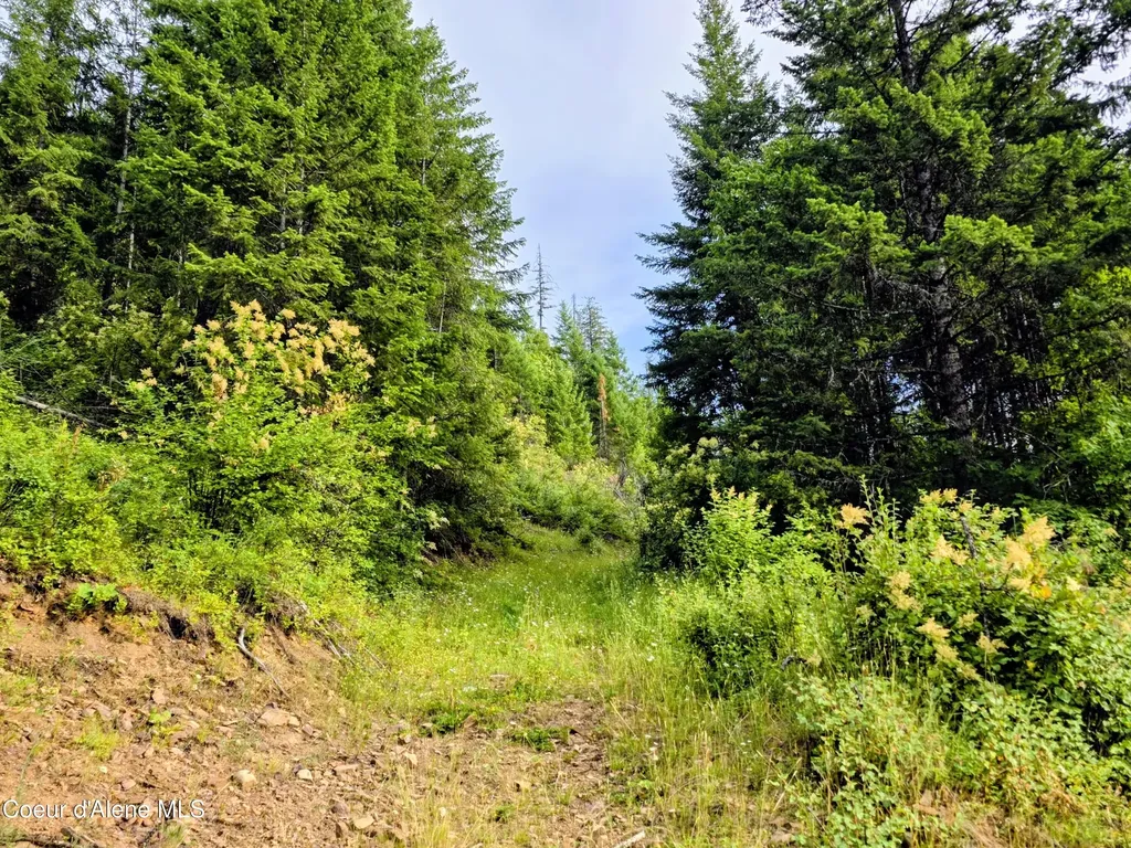 Nka Silver Creek Road Clark Fork ID 83811