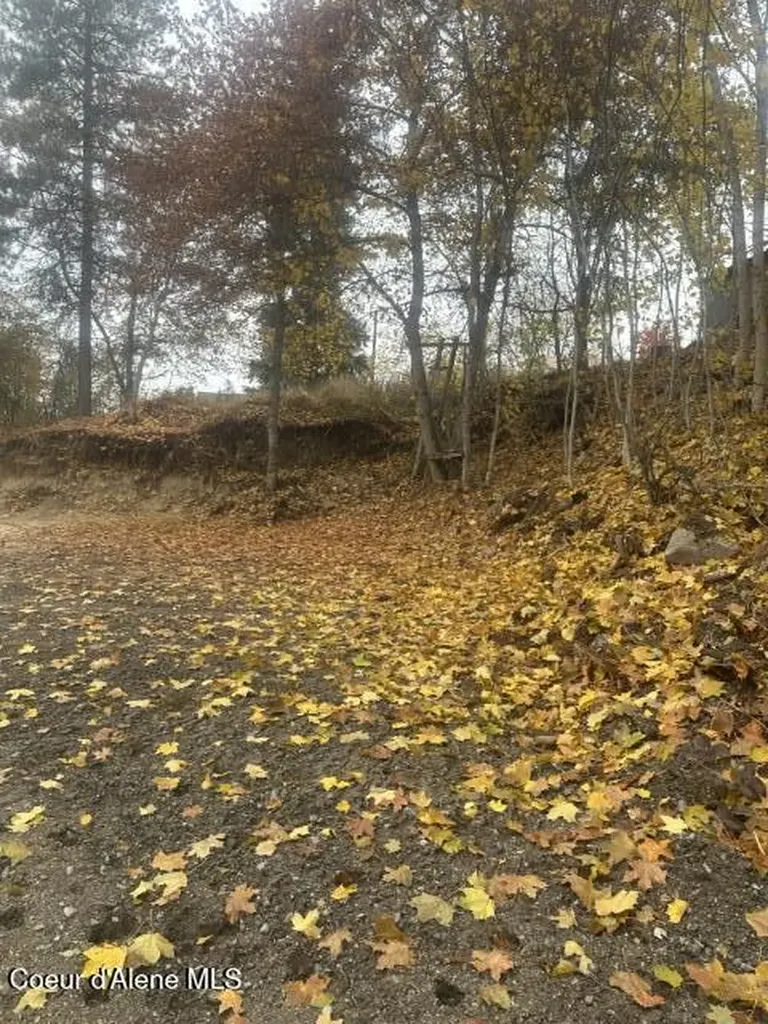 Nna (.393 Ac.) 2nd Street Priest River ID 83856