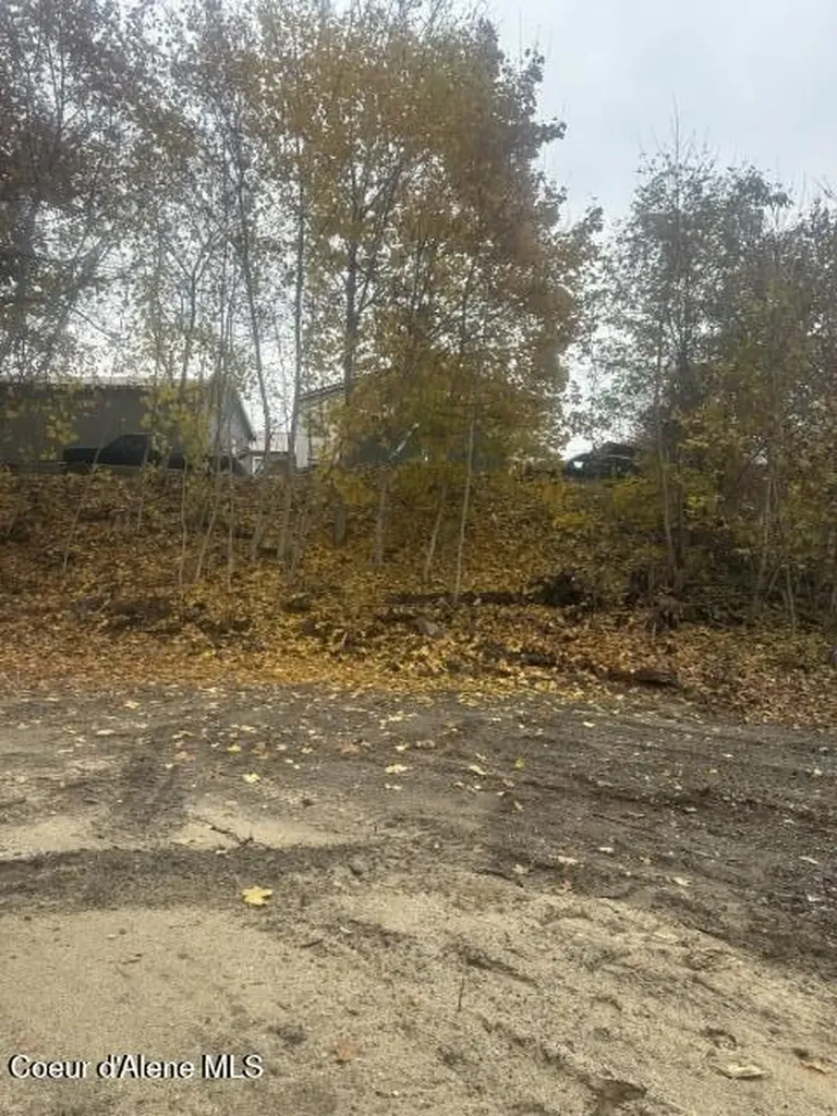 Nna (.393 Ac.) 2nd Street Priest River ID 83856