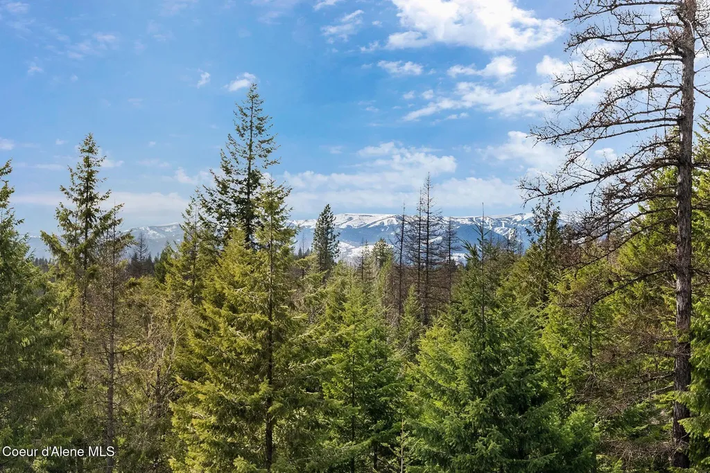 422 Lightning Peak Road Sandpoint ID 83864