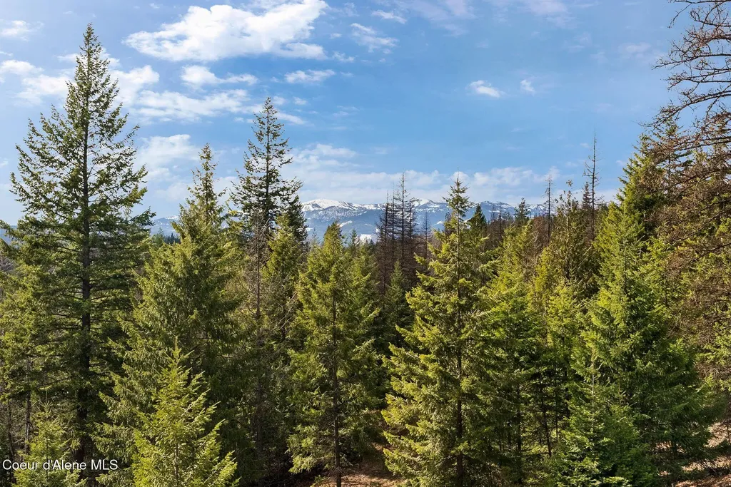 422 Lightning Peak Road Sandpoint ID 83864