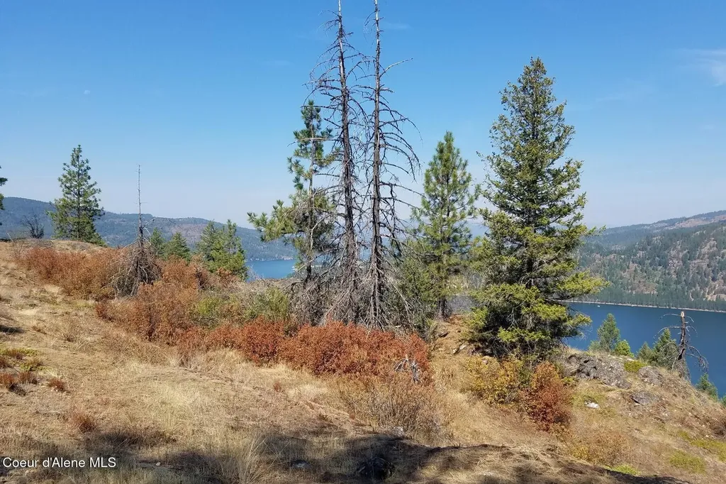 0 E Dunromin Road Priest River ID 83856