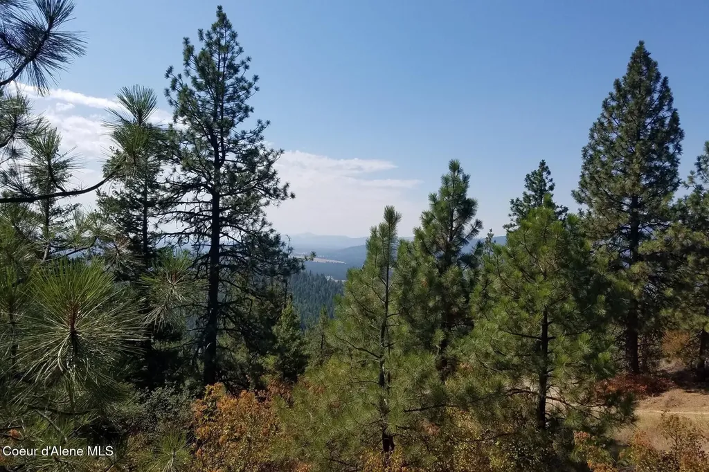 0 E Dunromin Road Priest River ID 83856