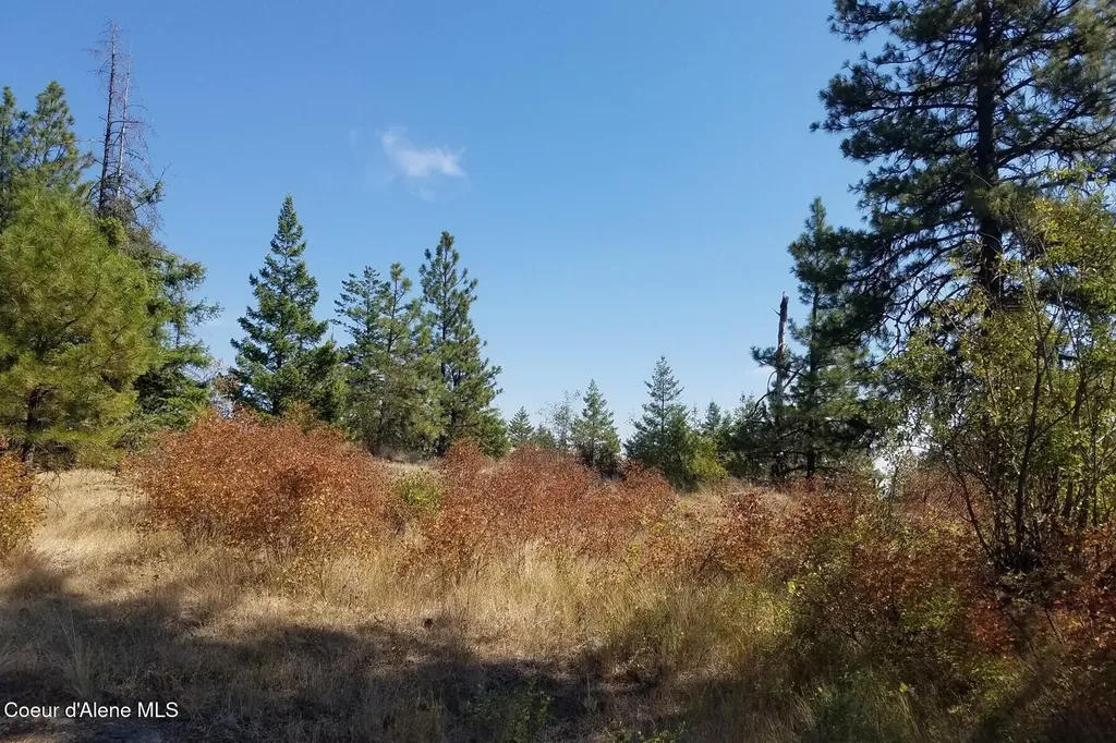 0 E Dunromin Road Priest River ID 83856