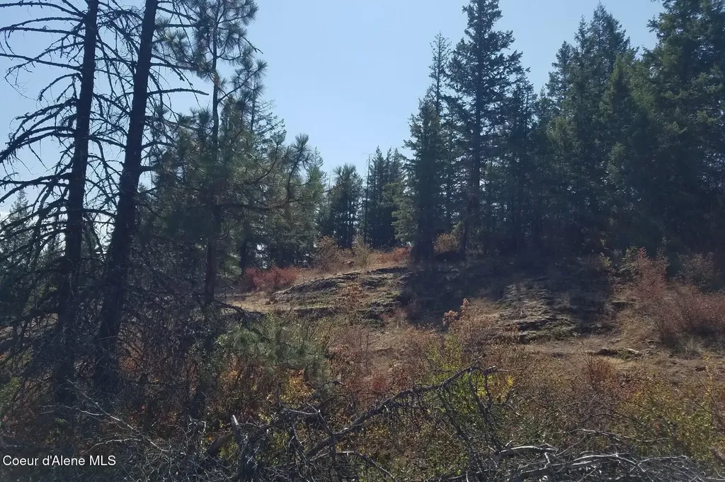 0 E Dunromin Road Priest River ID 83856