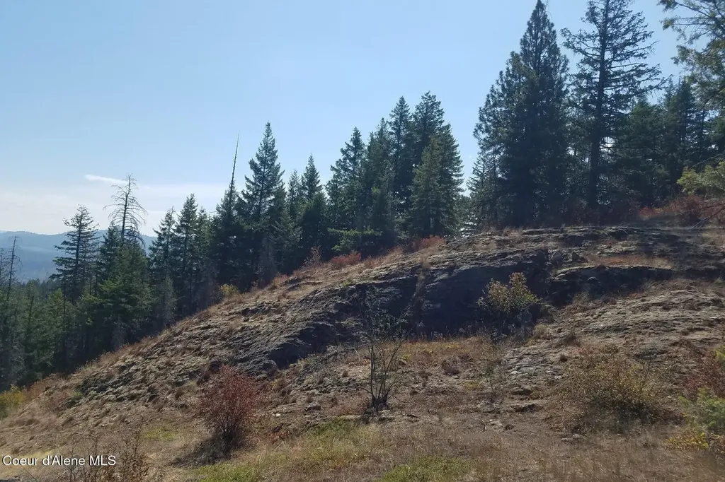 0 E Dunromin Road Priest River ID 83856