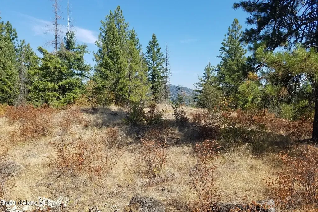 0 E Dunromin Road Priest River ID 83856