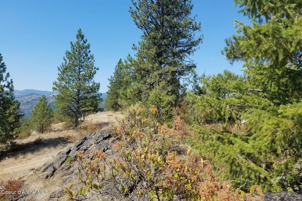 0 E Dunromin Road Priest River ID 83856