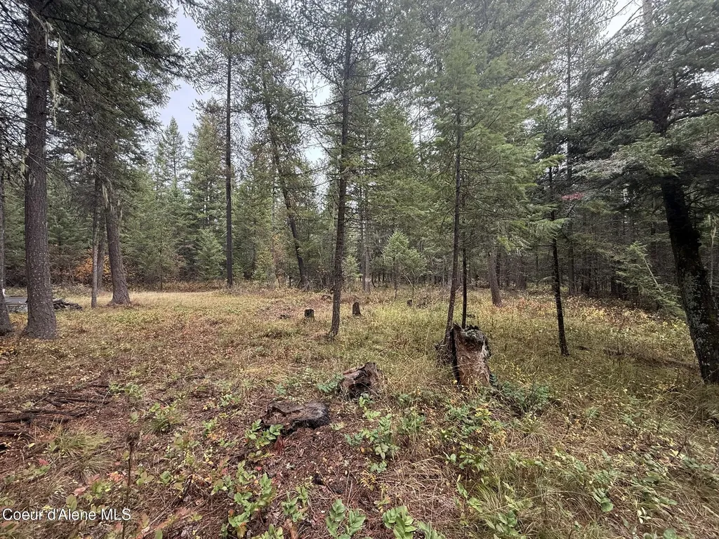 260 Deerhaven Lane Fernwood ID 83830