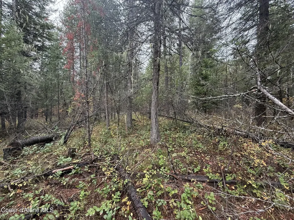 260 Deerhaven Lane Fernwood ID 83830