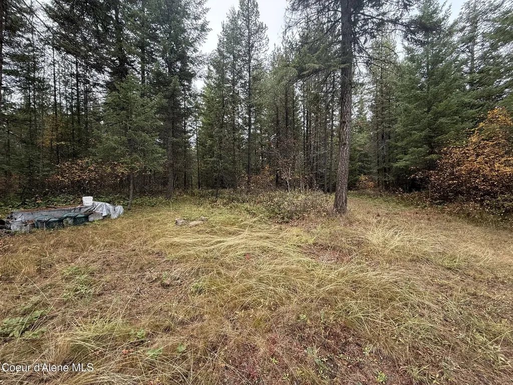260 Deerhaven Lane Fernwood ID 83830