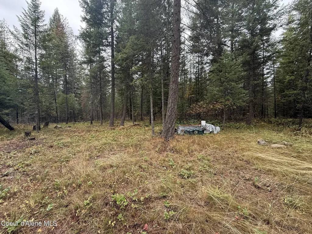 260 Deerhaven Lane Fernwood ID 83830