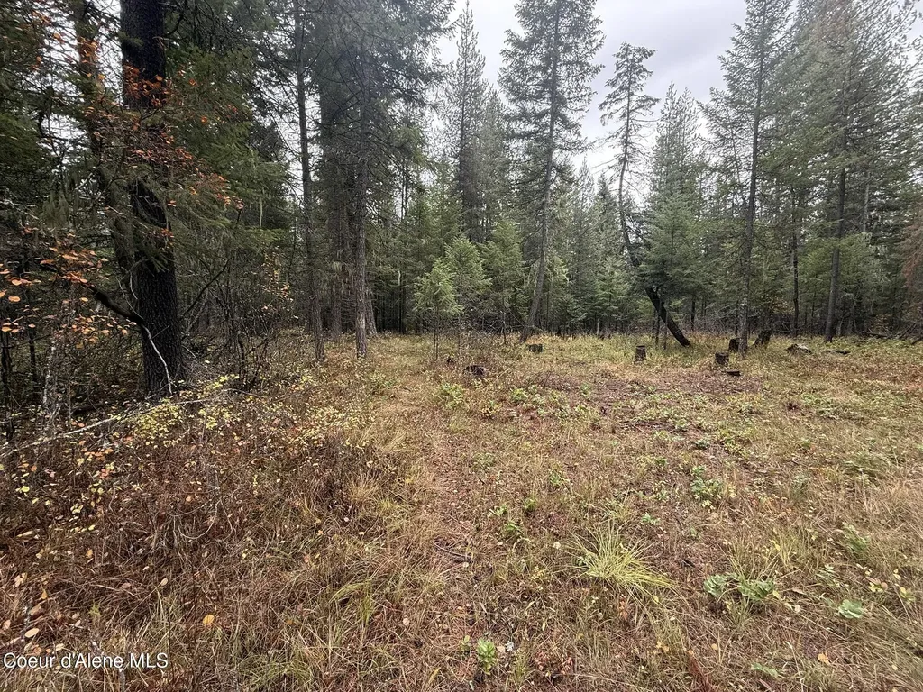 260 Deerhaven Lane Fernwood ID 83830