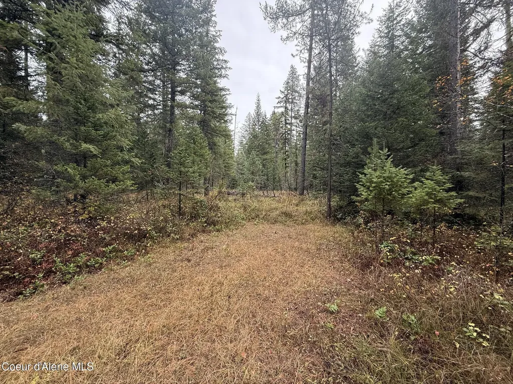 260 Deerhaven Lane Fernwood ID 83830