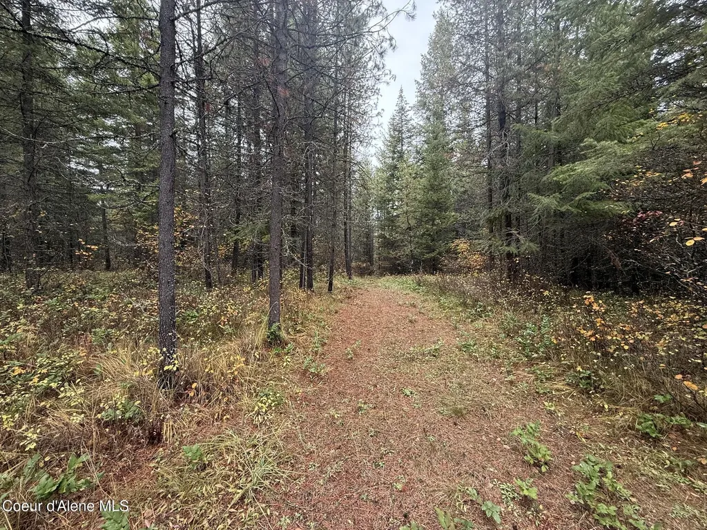 260 Deerhaven Lane Fernwood ID 83830