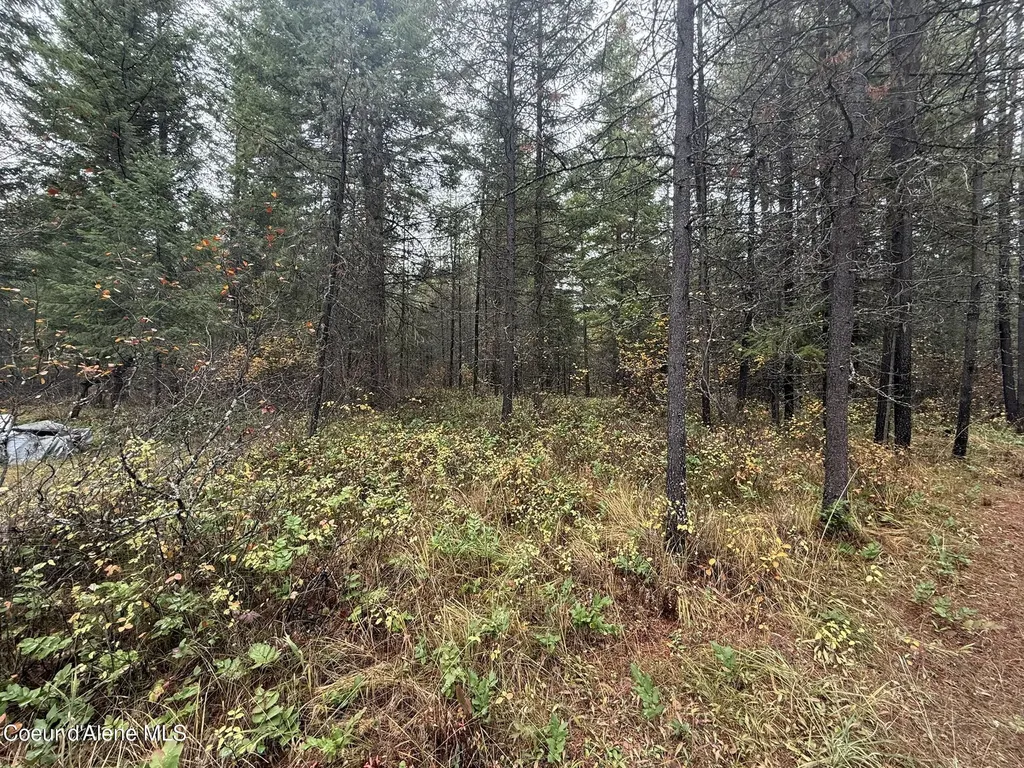 260 Deerhaven Lane Fernwood ID 83830