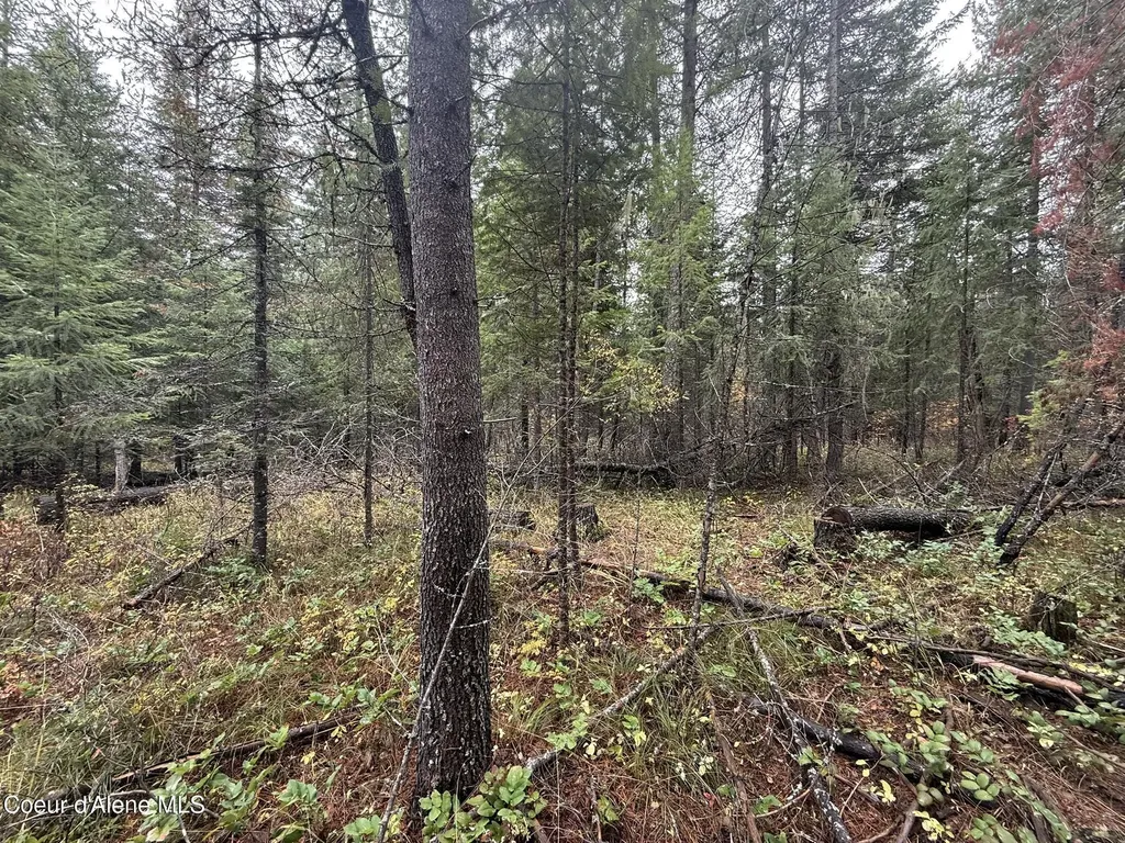 260 Deerhaven Lane Fernwood ID 83830