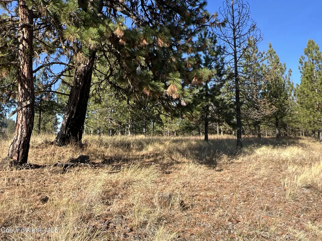 Nka State Highway 3 St. Maries ID 83861