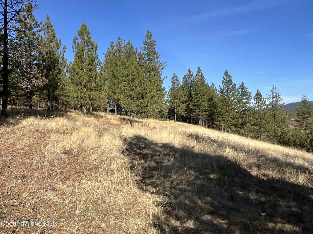 Nka State Highway 3 St. Maries ID 83861