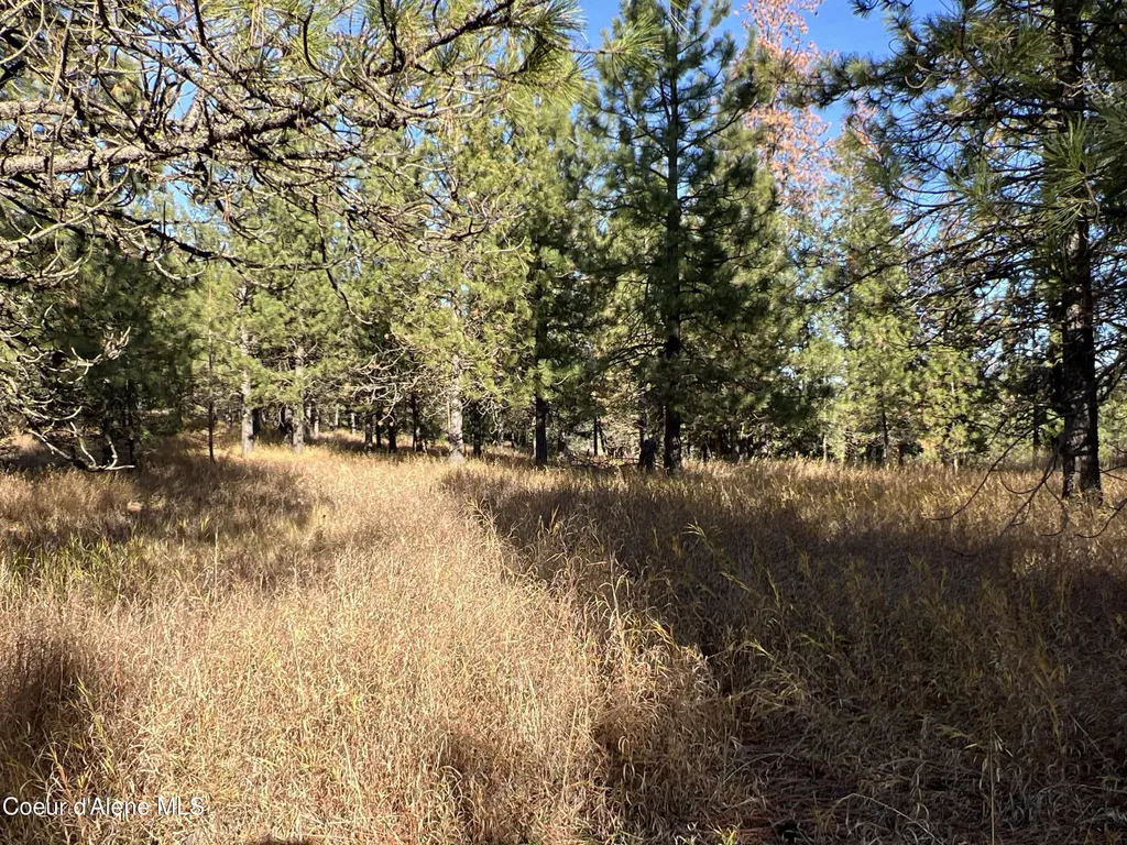 Nka State Highway 3 St. Maries ID 83861