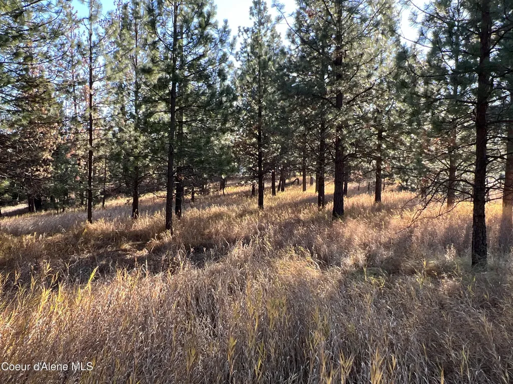 Nka State Highway 3 St. Maries ID 83861