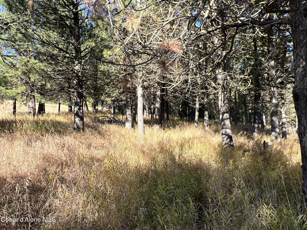 Nka State Highway 3 St. Maries ID 83861