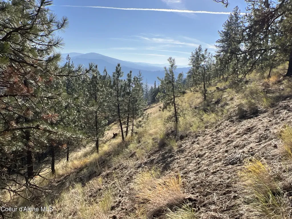 Nka State Highway 3 St. Maries ID 83861