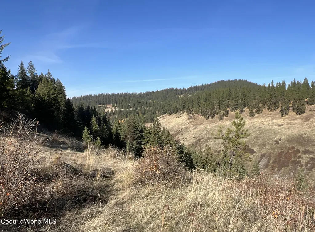 Nka State Highway 3 St. Maries ID 83861