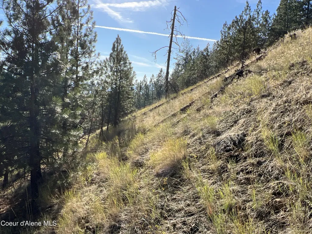 Nka State Highway 3 St. Maries ID 83861