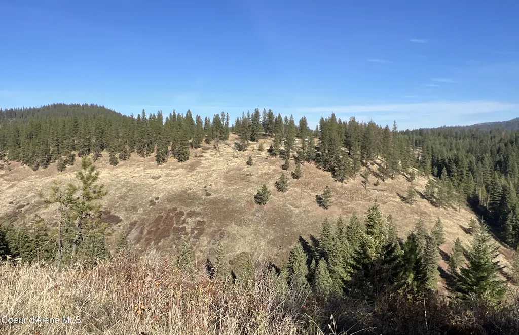 Nka State Highway 3 St. Maries ID 83861
