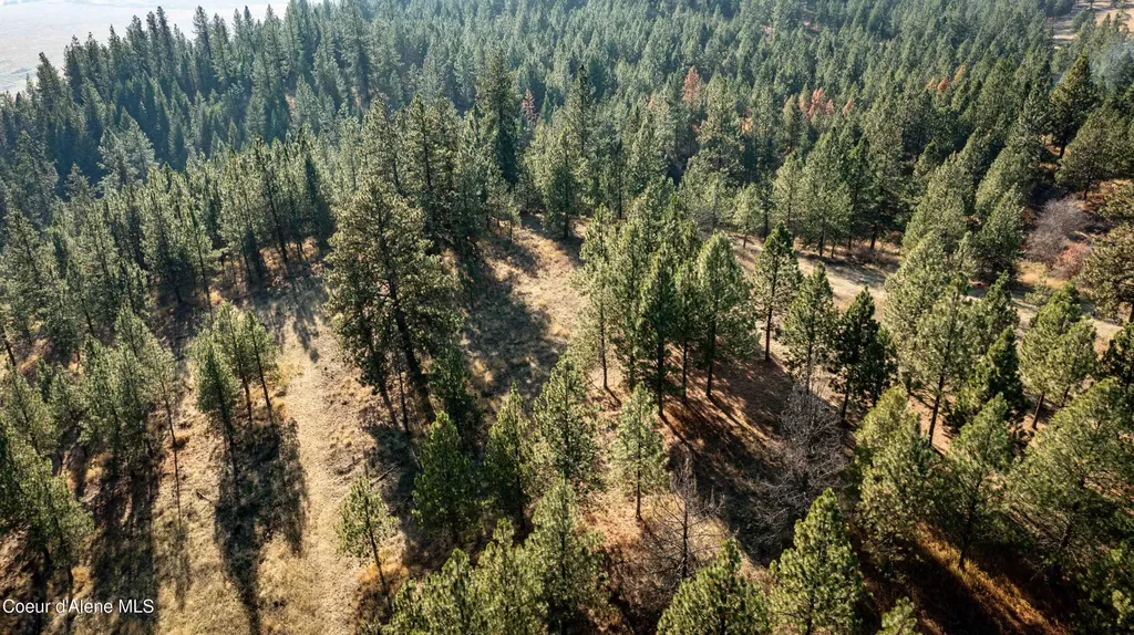 Nka State Highway 3 St. Maries ID 83861