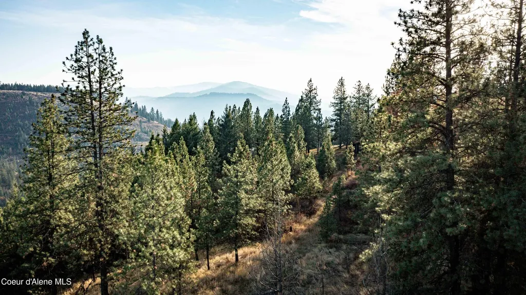 Nka State Highway 3 St. Maries ID 83861