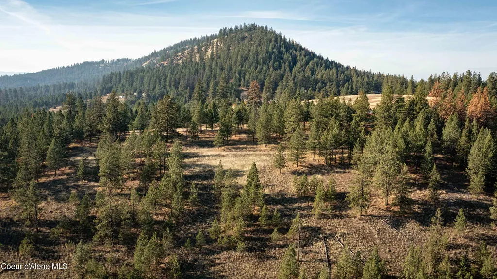 Nka State Highway 3 St. Maries ID 83861