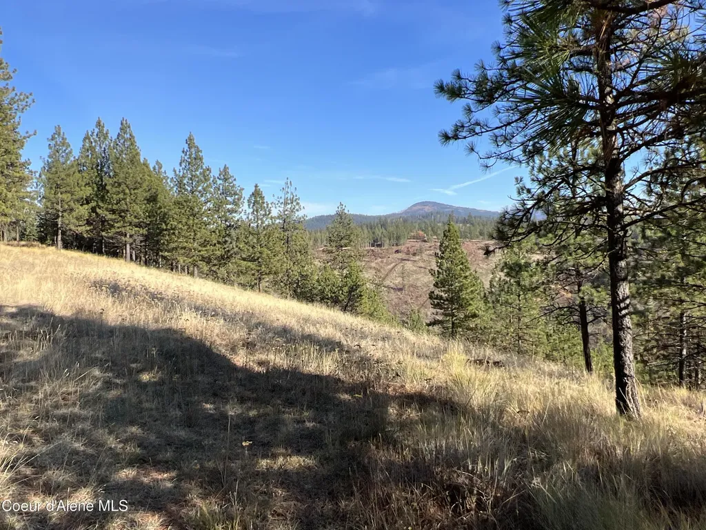 Nka State Highway 3 St. Maries ID 83861