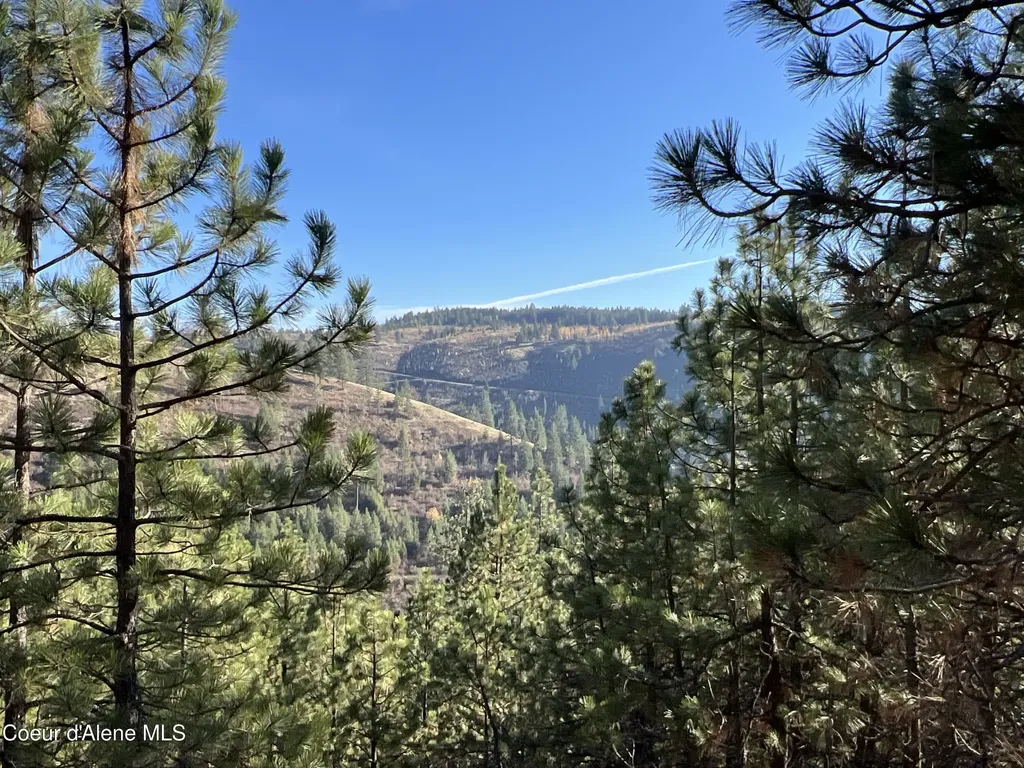 Nka State Highway 3 St. Maries ID 83861