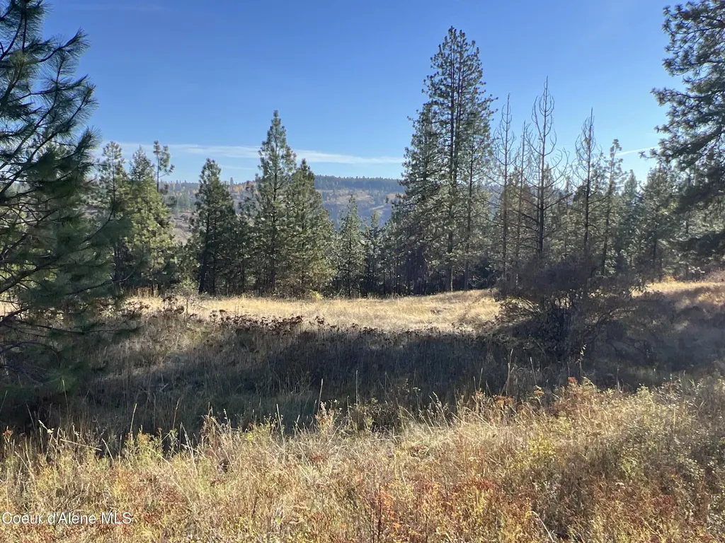 Nka State Highway 3 St. Maries ID 83861