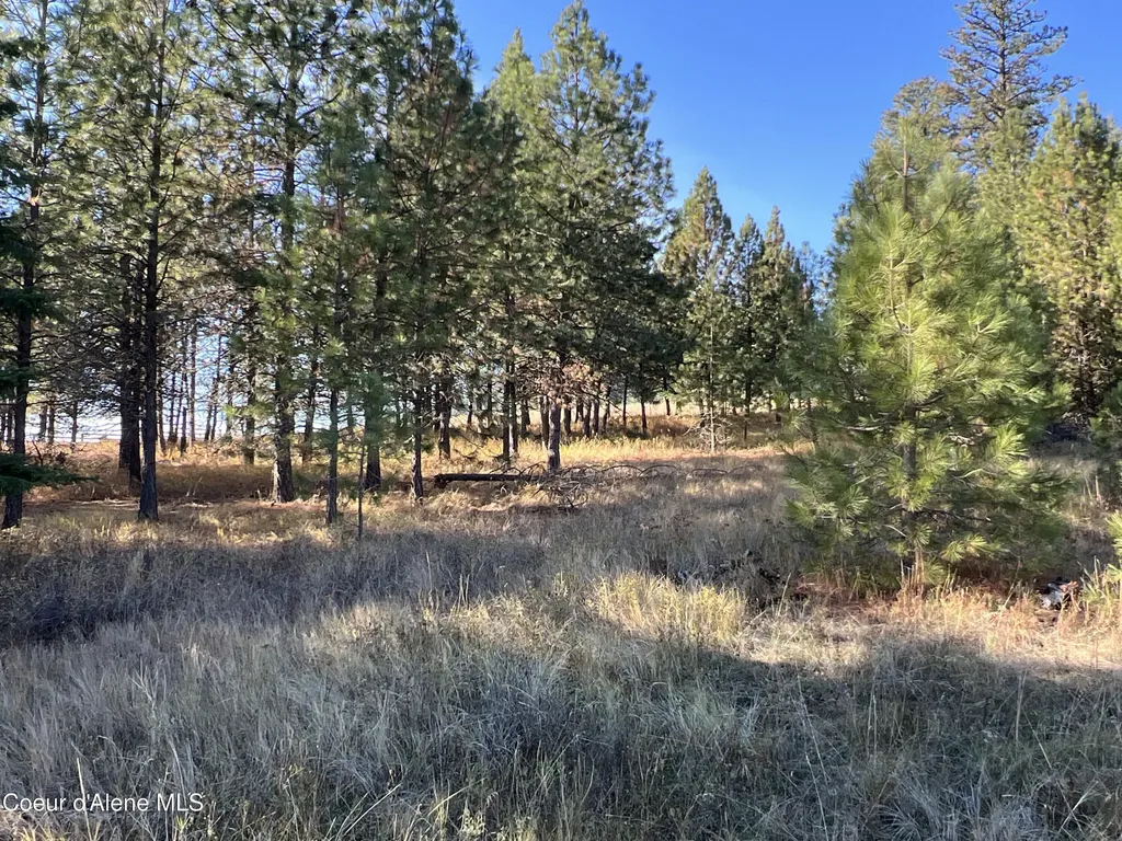 Nka State Highway 3 St. Maries ID 83861