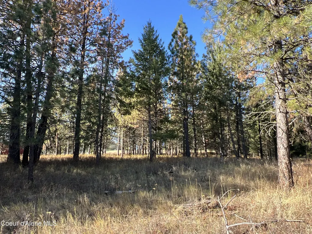 Nka State Highway 3 St. Maries ID 83861