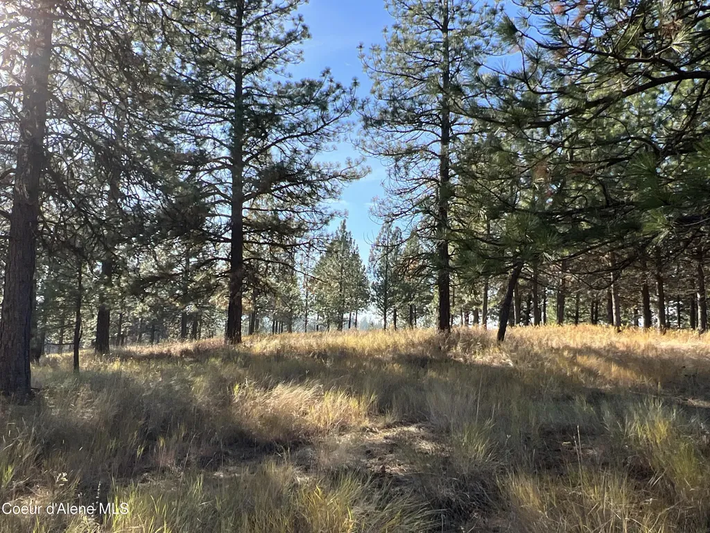 Nka State Highway 3 St. Maries ID 83861