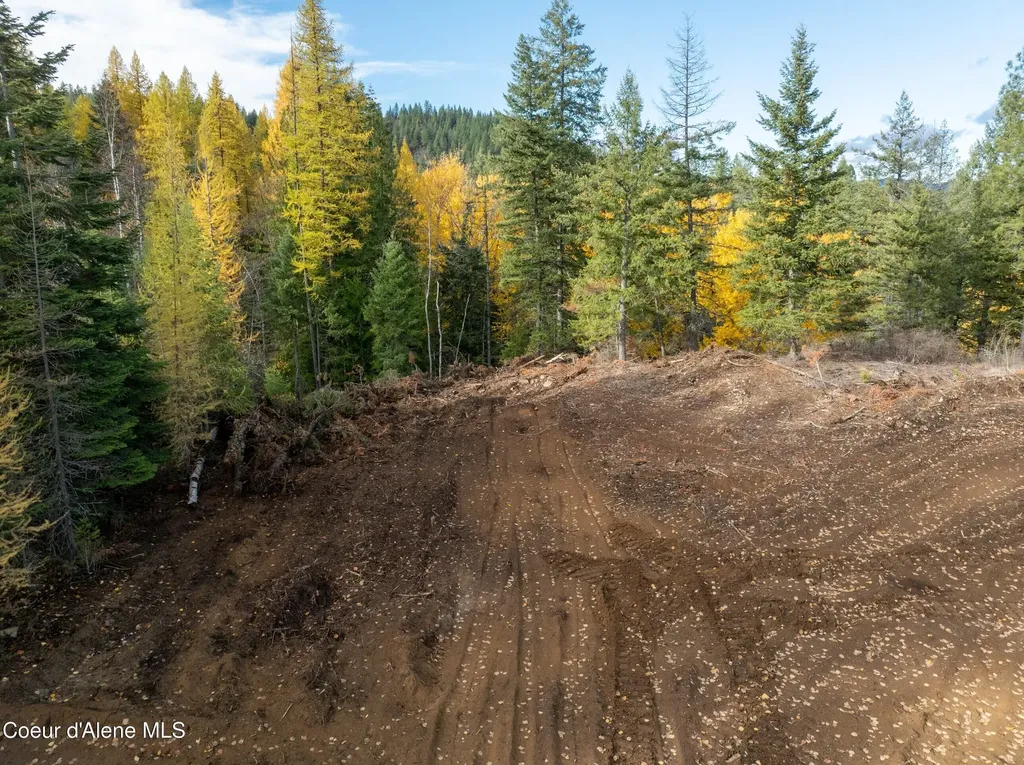 Lot 1 Braden Estates Priest River ID 83856