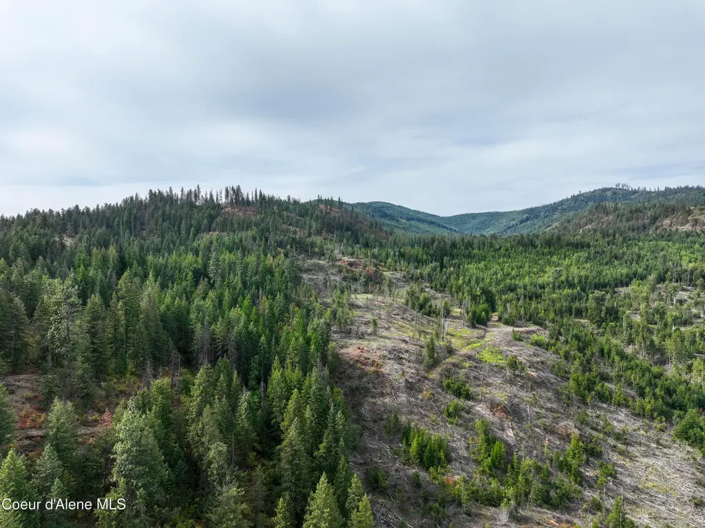 Lot 1 Braden Estates Priest River ID 83856
